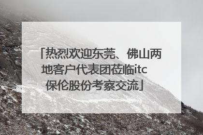 热烈欢迎东莞、佛山两地客户代表团莅临itc保伦股份考察交流