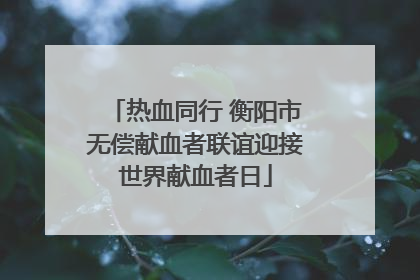 热血同行 衡阳市无偿献血者联谊迎接世界献血者日