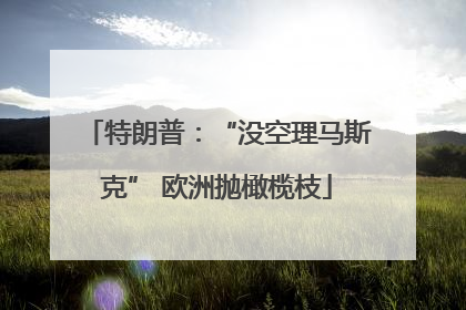 特朗普：“没空理马斯克” 欧洲抛橄榄枝