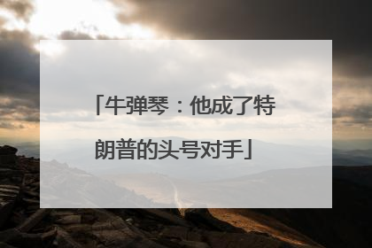 牛弹琴：他成了特朗普的头号对手