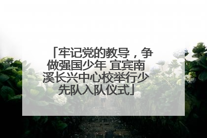牢记党的教导，争做强国少年 宜宾南溪长兴中心校举行少先队入队仪式