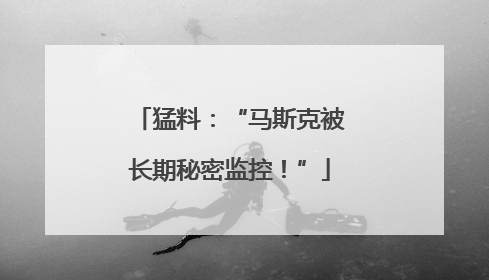 猛料：“马斯克被长期秘密监控！”