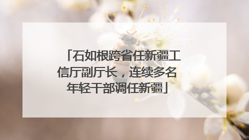 石如根跨省任新疆工信厅副厅长，连续多名年轻干部调任新疆