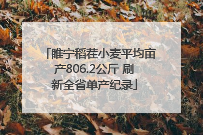 睢宁稻茬小麦平均亩产806.2公斤 刷新全省单产纪录