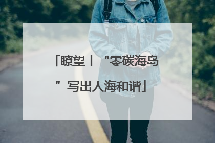 瞭望丨“零碳海岛”写出人海和谐