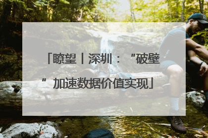 瞭望丨深圳：“破壁”加速数据价值实现