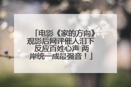 电影《家的方向》观影后网评催人泪下 反应百姓心声 两岸统一成最强音！