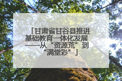 甘肃省甘谷县推进基础教育一体化发展——从“资源荒”到“满堂彩”