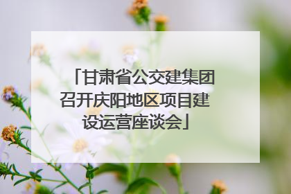 甘肃省公交建集团召开庆阳地区项目建设运营座谈会