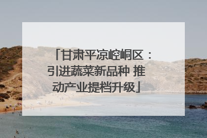 甘肃平凉崆峒区：引进蔬菜新品种 推动产业提档升级