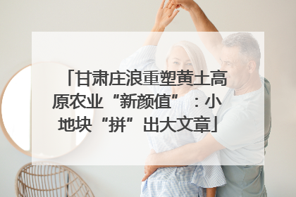 甘肃庄浪重塑黄土高原农业“新颜值”：小地块“拼”出大文章
