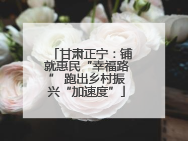 甘肃正宁：铺就惠民“幸福路” 跑出乡村振兴“加速度”