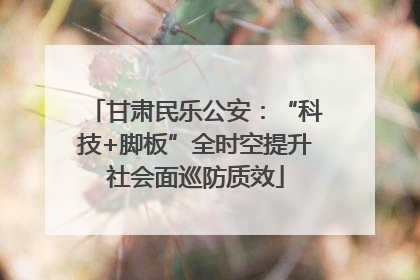 甘肃民乐公安：“科技+脚板”全时空提升社会面巡防质效