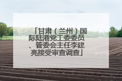 甘肃（兰州）国际陆港党工委委员、管委会主任李建亮接受审查调查
