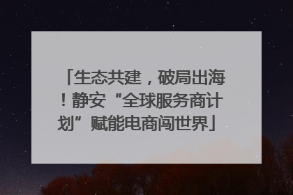 生态共建，破局出海！静安“全球服务商计划”赋能电商闯世界