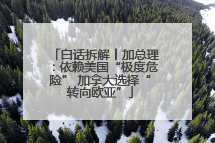 白话拆解丨加总理：依赖美国“极度危险” 加拿大选择“转向欧亚”