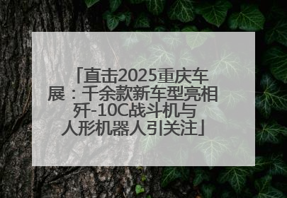 直击2025重庆车展：千余款新车型亮相 歼-10C战斗机与人形机器人引关注