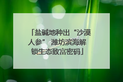盐碱地种出“沙漠人参” 潍坊滨海解锁生态致富密码