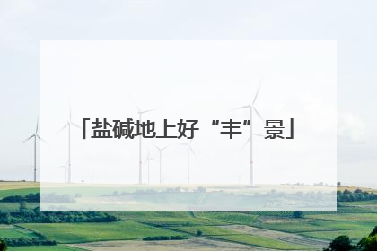 盐碱地上好“丰”景