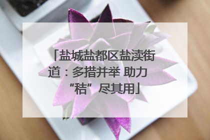 盐城盐都区盐渎街道：多措并举 助力“秸”尽其用