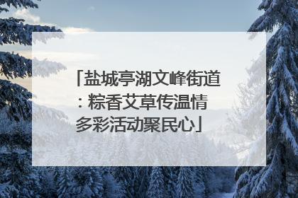 盐城亭湖文峰街道：粽香艾草传温情 多彩活动聚民心