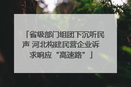 省级部门组团下沉听民声 河北构建民营企业诉求响应“高速路”