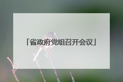 省政府党组召开会议