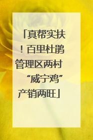 真帮实扶！百里杜鹃管理区两村“威宁鸡”产销两旺