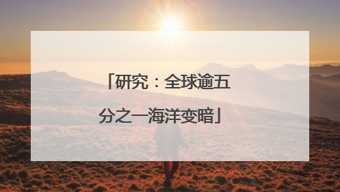 研究：全球逾五分之一海洋变暗