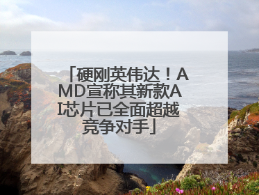 硬刚英伟达！AMD宣称其新款AI芯片已全面超越竞争对手