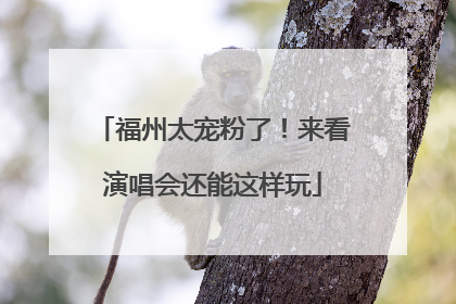 福州太宠粉了！来看演唱会还能这样玩