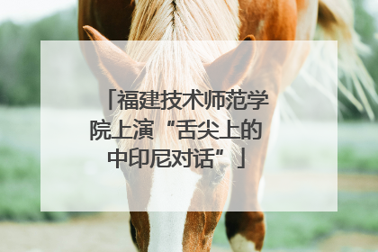 福建技术师范学院上演“舌尖上的中印尼对话”