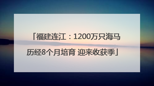 福建连江：1200万只海马历经8个月培育 迎来收获季