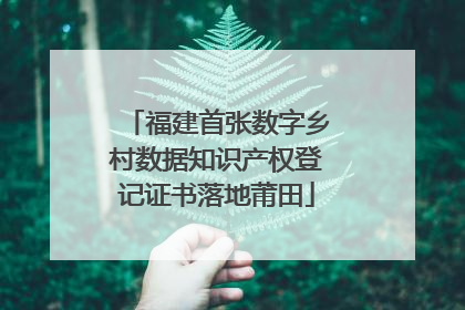 福建首张数字乡村数据知识产权登记证书落地莆田