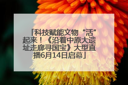 科技赋能文物“活”起来！《沿着中原大遗址走廊寻国宝》大型直播6月14日启幕