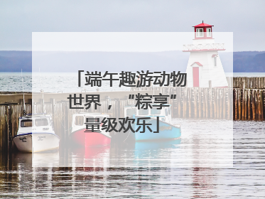 端午趣游动物世界，“粽享”量级欢乐