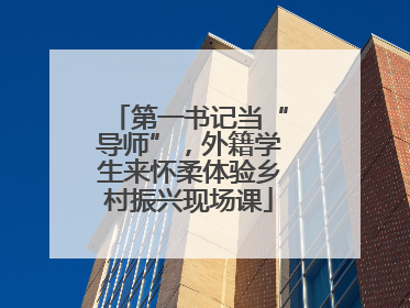 第一书记当“导师”，外籍学生来怀柔体验乡村振兴现场课