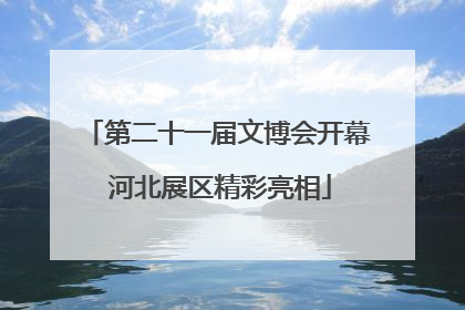 第二十一届文博会开幕 河北展区精彩亮相