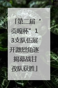 第二届“贡嘎杯”13支队伍展开激烈角逐 揭幕战甘孜队获胜
