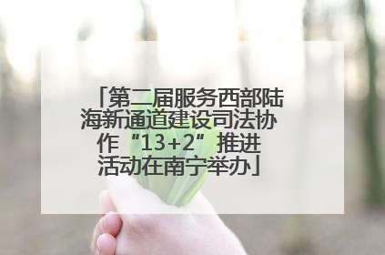 第二届服务西部陆海新通道建设司法协作“13+2”推进活动在南宁举办