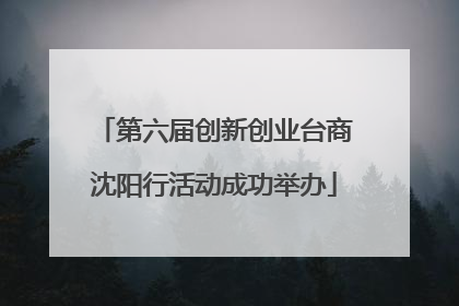 第六届创新创业台商沈阳行活动成功举办