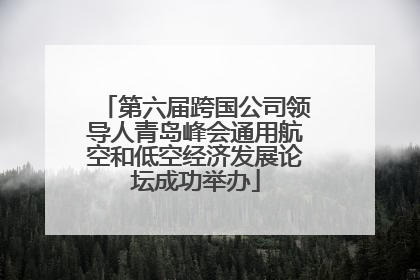 第六届跨国公司领导人青岛峰会通用航空和低空经济发展论坛成功举办
