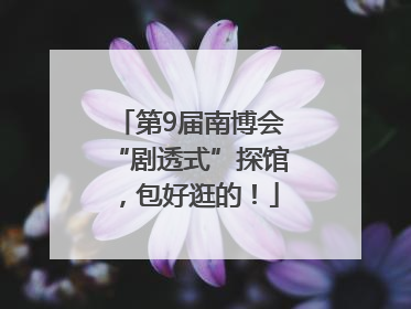 第9届南博会“剧透式”探馆，包好逛的！