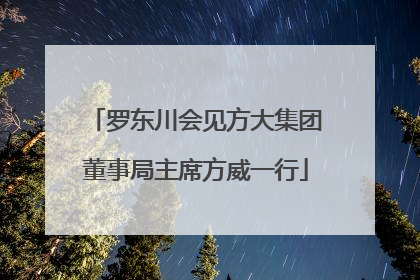 罗东川会见方大集团董事局主席方威一行