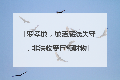 罗孝廉，廉洁底线失守，非法收受巨额财物