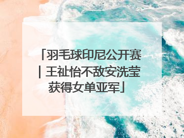 羽毛球印尼公开赛｜王祉怡不敌安洗莹 获得女单亚军