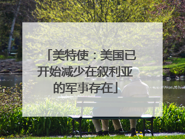 美特使：美国已开始减少在叙利亚的军事存在