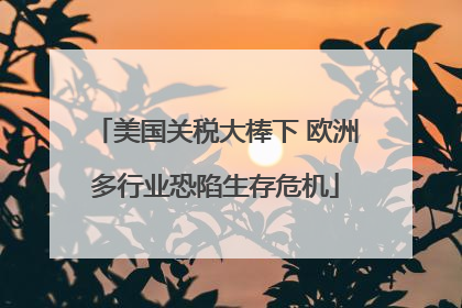 美国关税大棒下 欧洲多行业恐陷生存危机