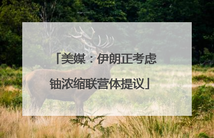 美媒：伊朗正考虑铀浓缩联营体提议