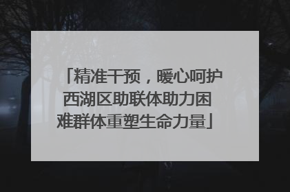 精准干预，暖心呵护 西湖区助联体助力困难群体重塑生命力量